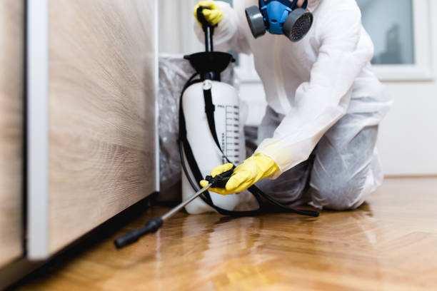 Best Commercial Pest Control Services  in Pacific City, OR
