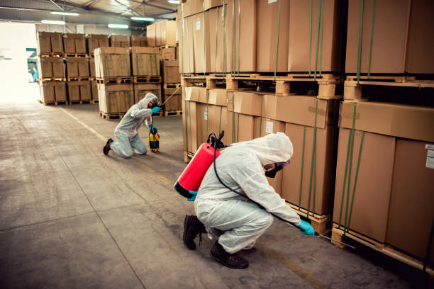 Best Bed Bug Extermination  in Pacific City, OR