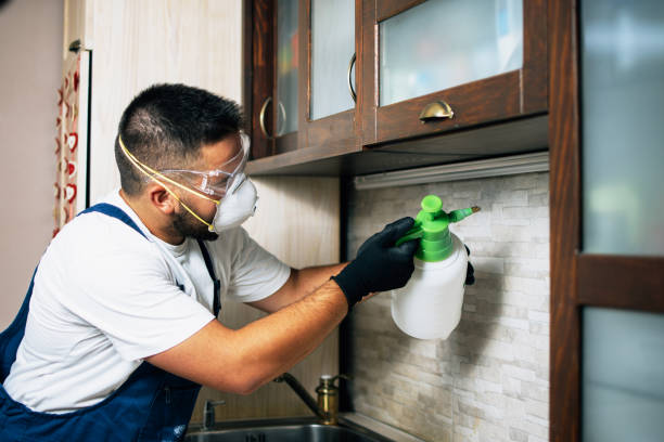 Best Wildlife Control Services  in Pacific City, OR