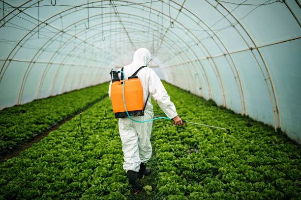 Best Pest Removal Services  in Pacific City, OR