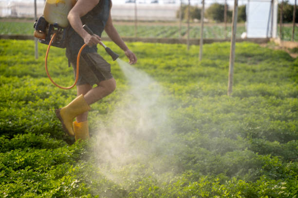 Best Exterminator Services  in Pacific City, OR