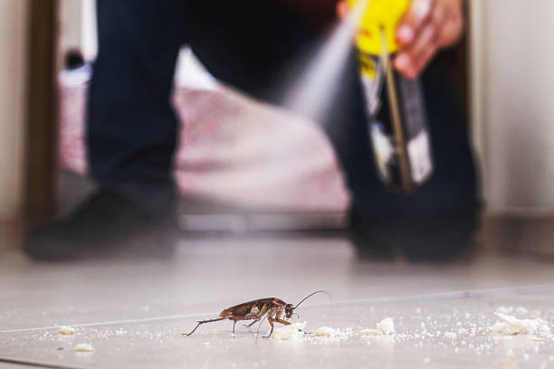 Trusted Pacific City, OR Pest Control Experts