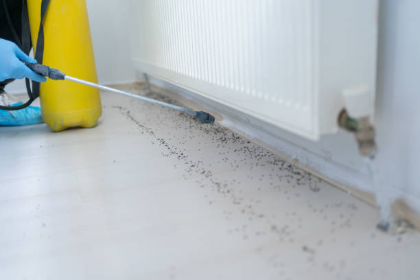 Best Best Pest Control Companies  in Pacific City, OR