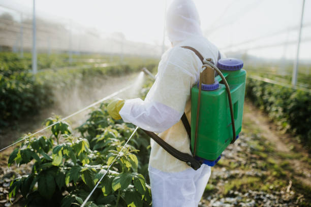 Best Commercial Pest Control Services  in Pacific City, OR